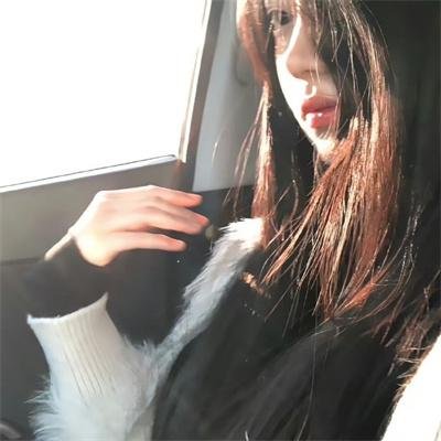 一条叫王子的狗