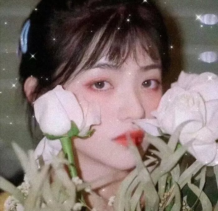 友好的敌人