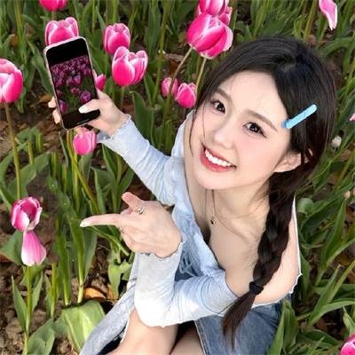 公民哈维尔